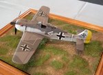 Fw190A3 Junior_6357.jpg