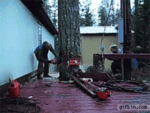 tumblr_nrolhtuYYG1rmin5no1_400.gif