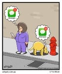 10978592_846055012118308_4976407715369199451_n.jpg