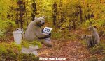 bearsin the woods.jpg