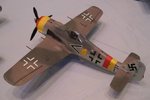Fw190A8 JG301a_6457.jpg
