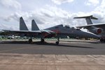 su30-1.jpg