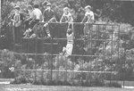 monkeybars_1.jpg