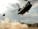 chinook11024.jpg