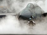 tomcatf141028.jpg