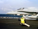 hornet_F18.jpg
