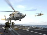 seals1.jpg