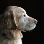 coolrando_pixaug_009.jpg