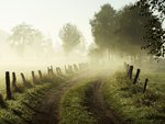 Misty Morning, Lower Saxony, Germany.jpg