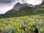 McGee Creek Canyon, John Muir Wilderness, California.jpg