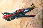 p-40.jpg