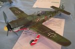 Fw190D-9 Red 3 JV44 wd_6339.jpg