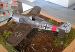 Fw190A-8 JG300 Red 1 wb_6337.jpg
