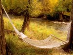Peaceful Hammock Near a Stream, Colorado.jpg