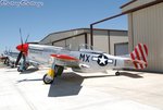 44-74391_38_cf1.jpg