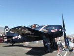 bearcat.jpg