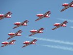 snowbirds1.jpg