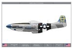 P51D_3FS_Dev.jpg
