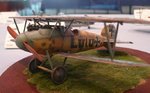 Albatross DV  'Lulu' wb_6471.jpg