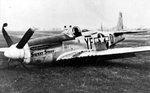 2SF YFbarD_Ceglarski_411341 nov1944[shewfelt].jpg