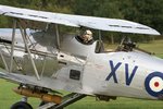 Web Hawker Hind Taxi.jpg