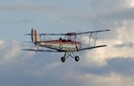 Web Tiger Moth.jpg