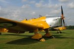 web Miles Hawk Trainer.jpg