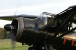 Web Lysander.jpg