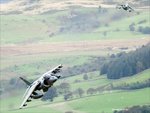 DSC_0061HARRIERS.jpg