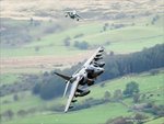 DSC_0062HARRIERS.jpg