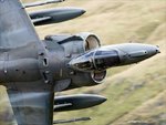 DSC_0069HARRIER.jpg