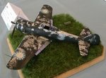 Ki-84 Frank Chinese markings_wb_6393.jpg