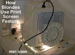 Male-vs-Female-2.JPG