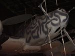 PA090181.JPG