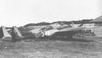 g1_348_1.jpg