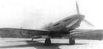 sparka7.jpg