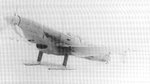 sparka6.jpg