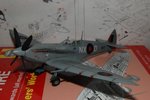 DSC_0071.jpg