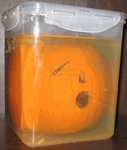 ATT359530.jpg