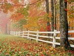 Changing Seasons.jpg