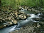 Glade Creek in Early Spring, New River Gorge National River, West Virginia.jpg