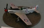 1_72_MOD_CAC Mustang_6620.jpg
