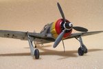 Fw180A-8 JG301_7517.JPG