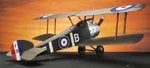 camel-1w.jpg