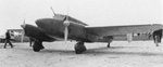 fot196.jpg