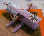 1_48_OOB_Albatros W4_6524.jpg