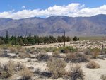 Big Pine Quake Cemetary May 5 2007 ea.jpg