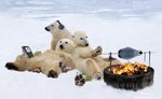 Roast penguine.jpg