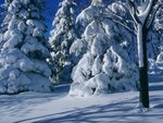 snow_004.jpg