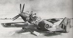 P51 Grffion.jpg